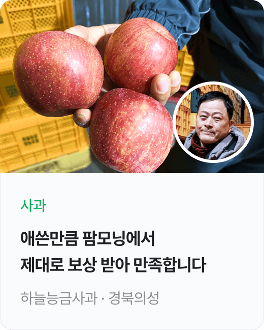 인바운드 리뷰