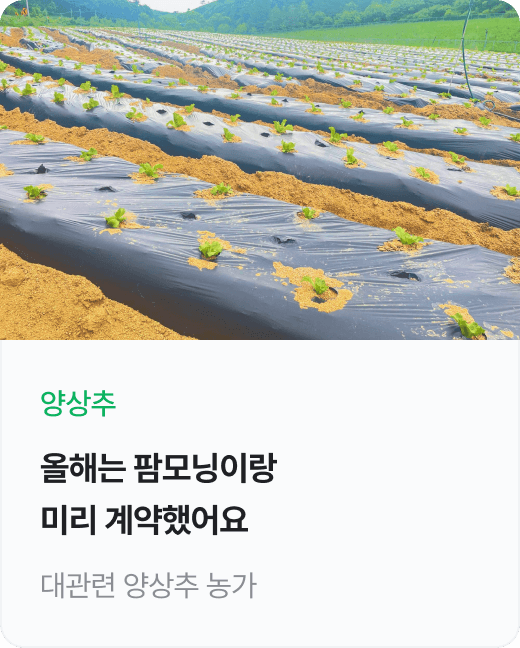 인바운드 리뷰